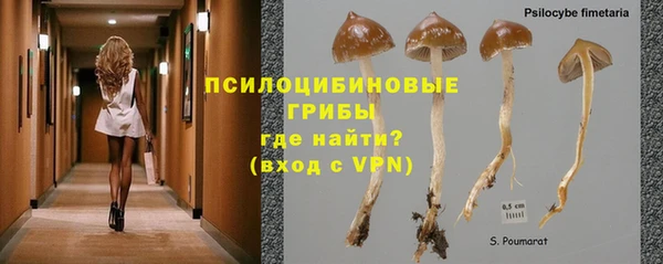 каннабис Абаза