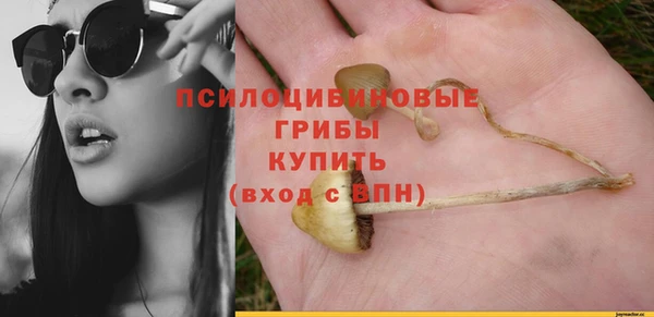 каннабис Абаза