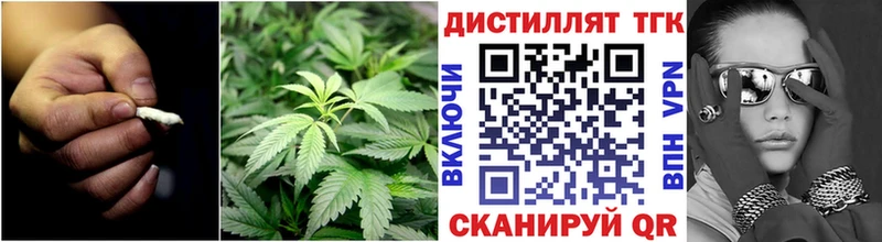 Дистиллят ТГК концентрат блэк спрут ссылки Кирсанов