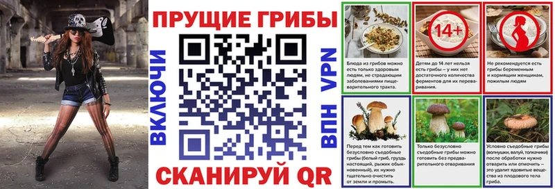 Псилоцибиновые грибы MAGIC MUSHROOMS  купить наркотики сайты  MEGA ссылка  Кирсанов 